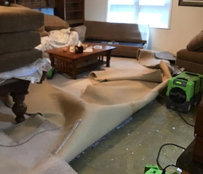 Carpet being removed in living room